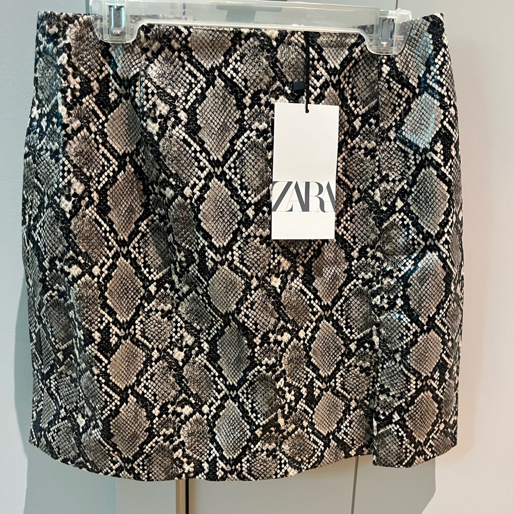 Zara Mini Skirt